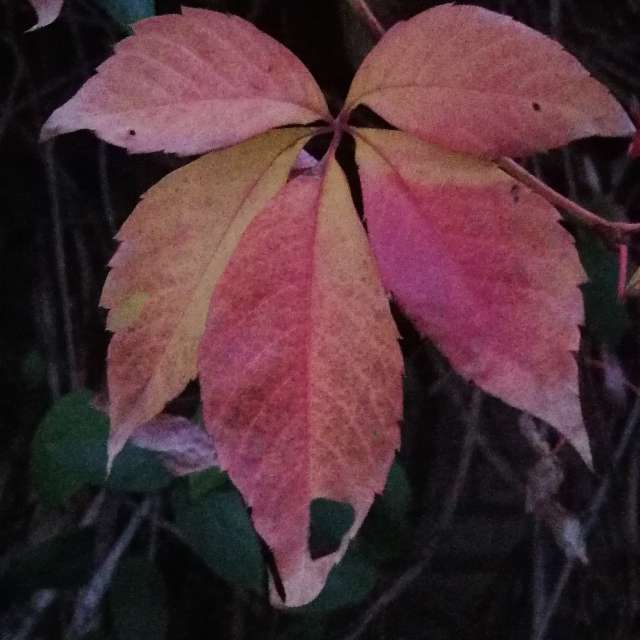 Fotos Clima. Previsões do tempo com lindas fotos de AttilaSzilvássy em Budapeste
