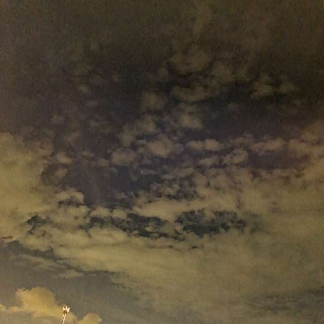 Photos Mouton. Prévisions météo avec de superbes photos de Wen-ya Huang de Kaohsiung