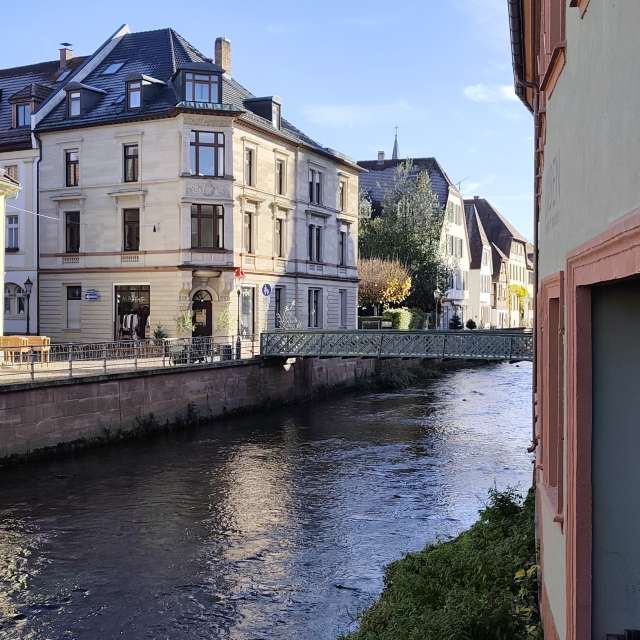 Weather forecasts with beautiful photos by Tercis