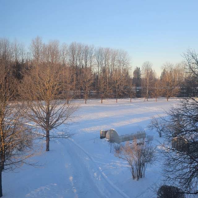 Pronósticos del tiempo con hermosas fotos de Sandra Bokisha