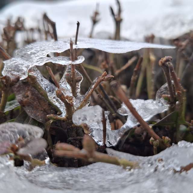 Weather forecasts with beautiful photos by Iryna