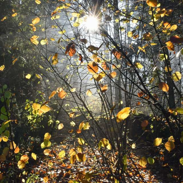 Fire. Weather forecasts with beautiful photos by hejpetrpepa Photos in Plzeň Region