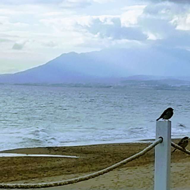 Weather forecasts with beautiful photos by ElCatorce