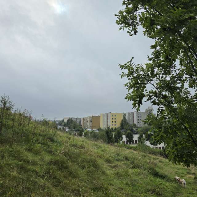 xPrzybyLxの美しい写真による天気予報