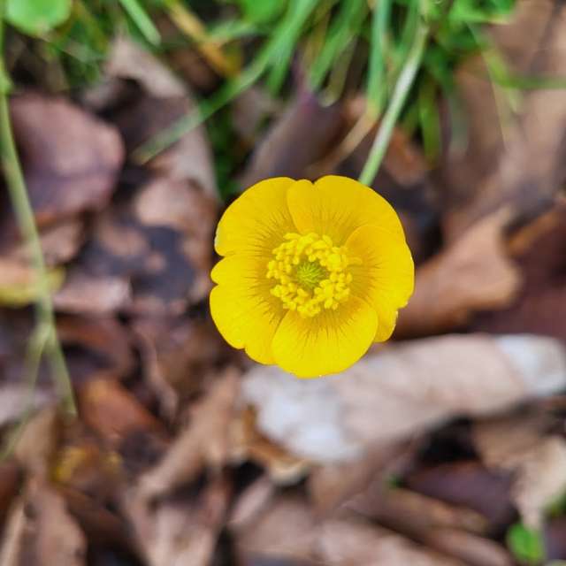 Weather forecasts with beautiful photos by aida-khaldi