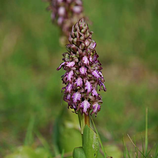 Weather forecasts with beautiful photos by tony5636