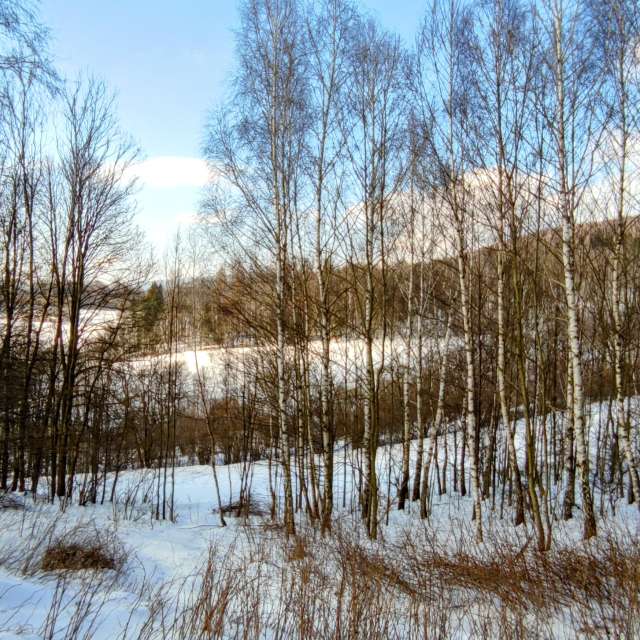 Gruppe. Wettervorhersagen mit schönen Fotos von Kripo Fotos Ladek Zdroj
