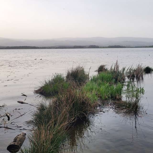 Pronósticos del tiempo con hermosas fotos de Tinch85