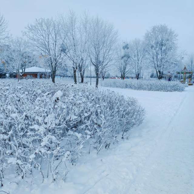 Ania-12の美しい写真による天気予報