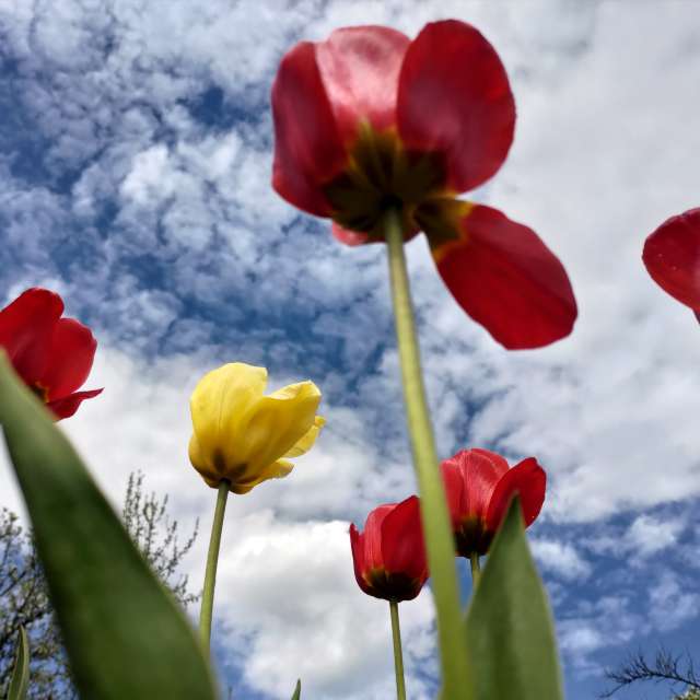 世界的天气照片. 天气预报，带Lara357精美的照片