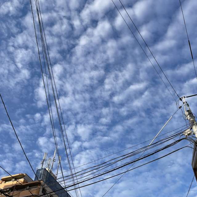 Fotos Arame. Previsões do tempo com lindas fotos de あさのジジ em Okayama