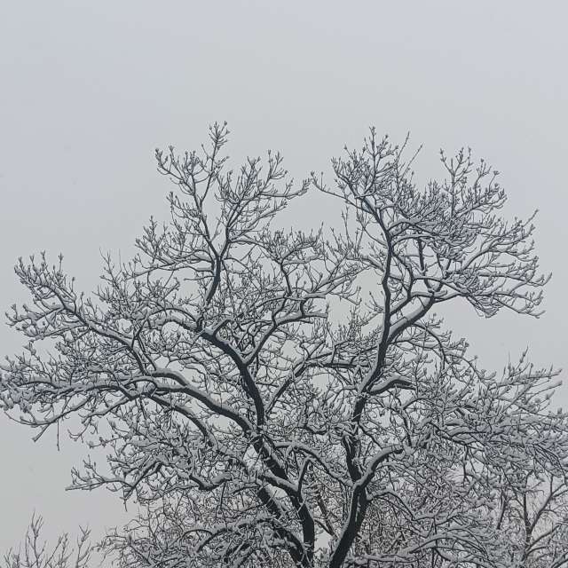Fotos del Pasto. Pronósticos del tiempo con hermosas fotos de YanBog en București