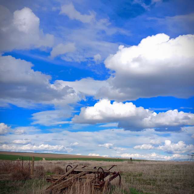 Almaの美しい写真による天気予報
