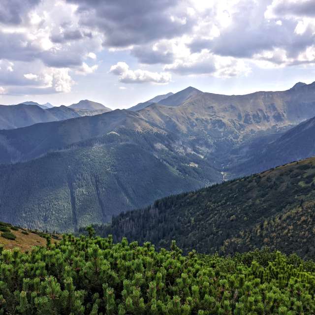 天气预报，带crisboon精美的照片