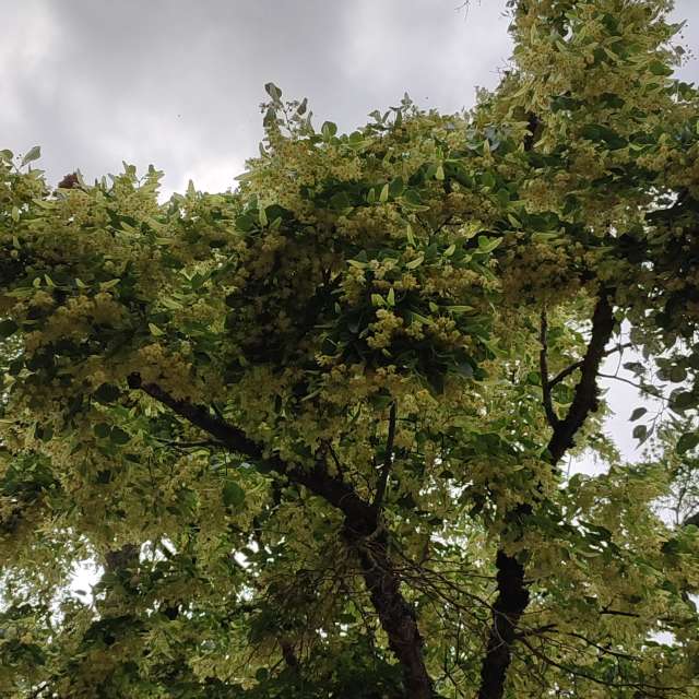 High. Weather forecasts with beautiful photos by Tercis Photos in Ettlingen