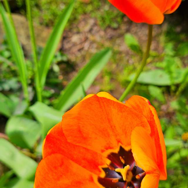 Pot. Weather forecasts with beautiful photos by Seni Photos in Velbert