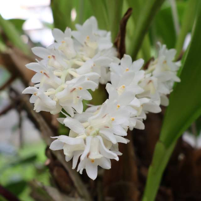 Natureza. Wettervorhersagen mit schönen Fotos von VIAꓨEM_E_HISTÓЯIA Fotos Florianópolis
