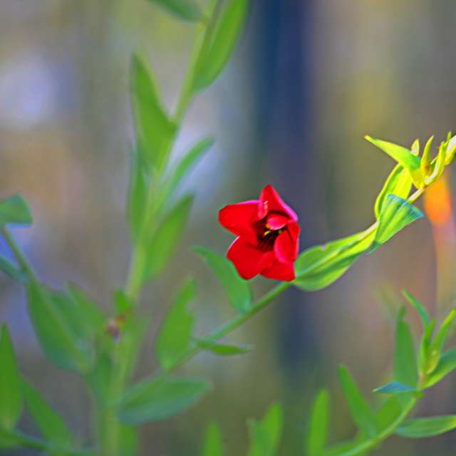 Grass. Weather forecasts with beautiful photos by tony5636 Photos in Calvisson