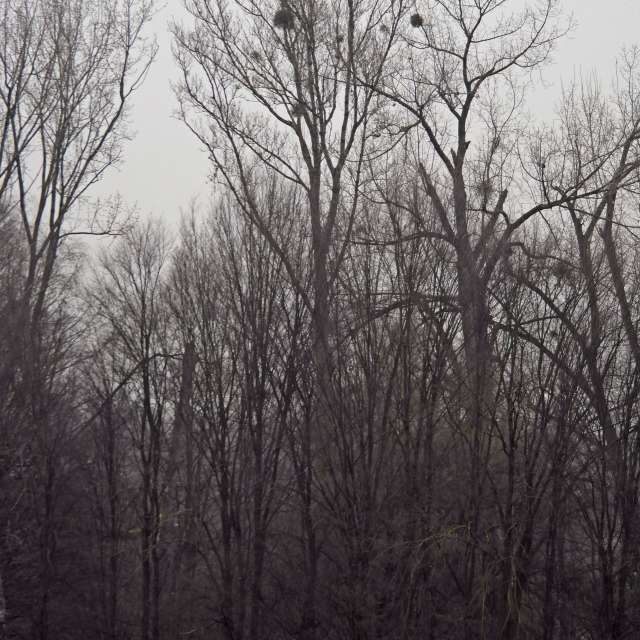 Germany. Weather forecasts with beautiful photos by verdeazul Photos in World