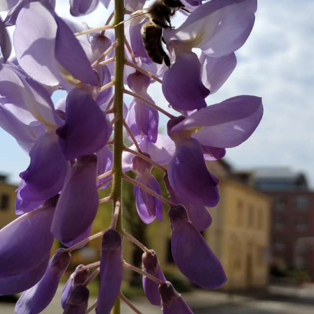 Fotos del Water. Pronósticos del tiempo con hermosas fotos de NataliaM en Alemania