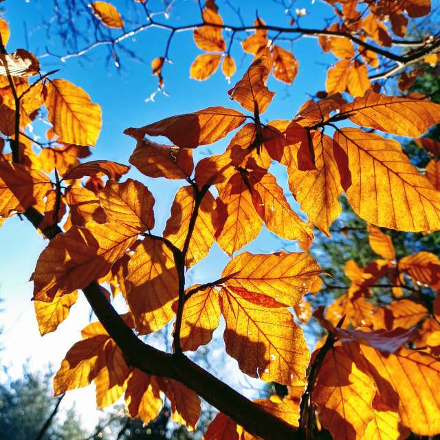 Colorful. Weather forecasts with beautiful photos by hejpetrpepa Photos in Plzeň Region
