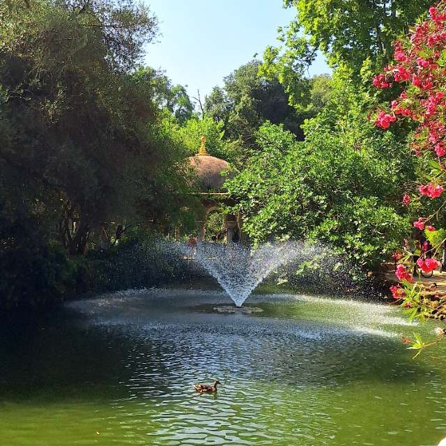 Dự báo thời tiết với những bức ảnh đẹp của Geo23