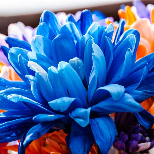 Weather forecasts with beautiful photos by 1stEyeFocused