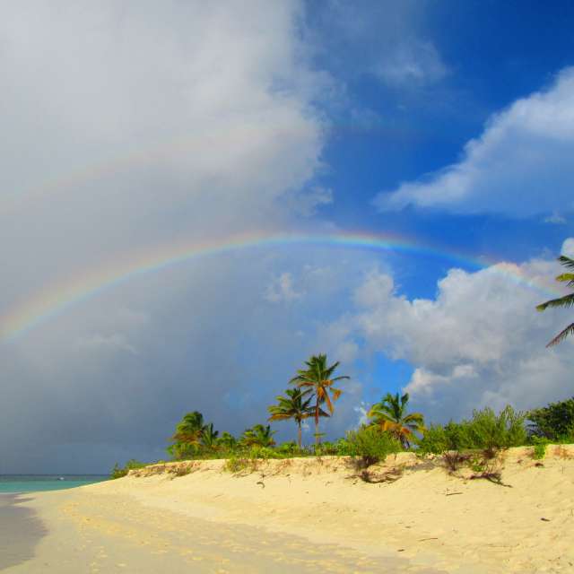 Prévisions météo avec de superbes photos de waterweasel