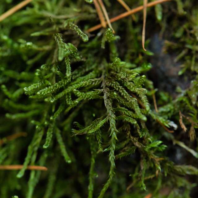 Weather forecasts with beautiful photos by martinm611