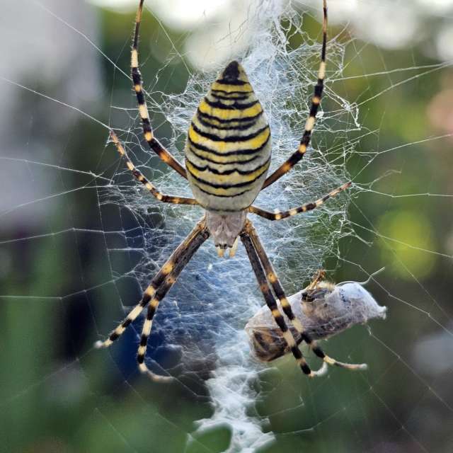 天气预报，带ImPe精美的照片