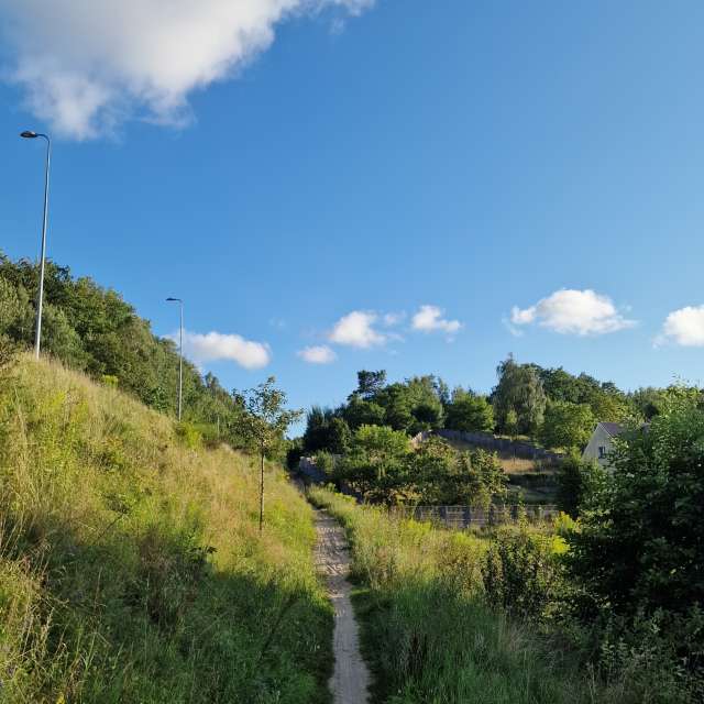 世界の天気写真. xPrzybyLxの美しい写真による天気予報