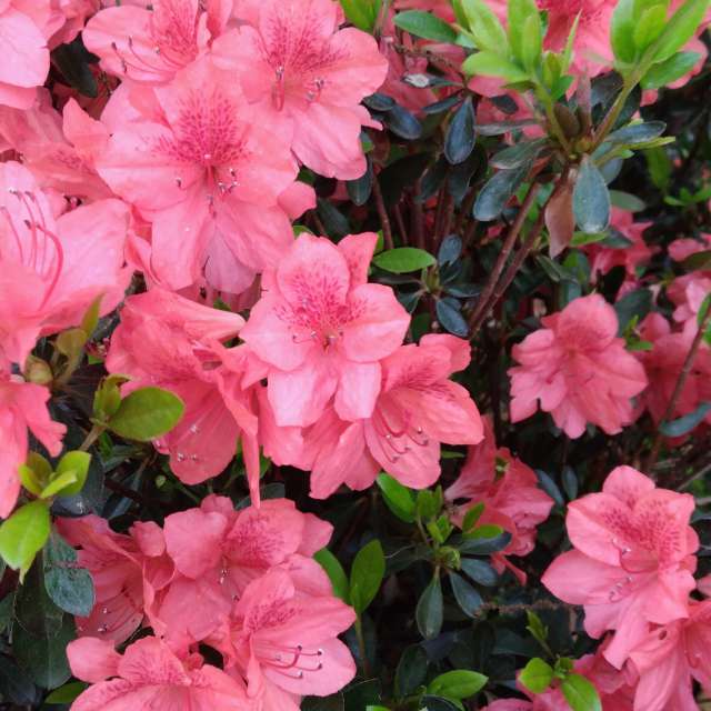 Прогнозы погоды с чудесными фотографиями, сделанными Allisong