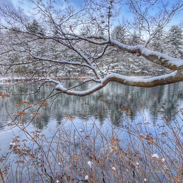 Прогнозы погоды с чудесными фотографиями, сделанными Kasumisou