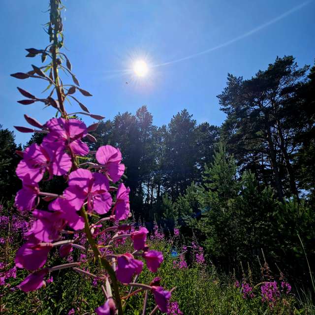 Prévisions météo avec de superbes photos de KatreKal
