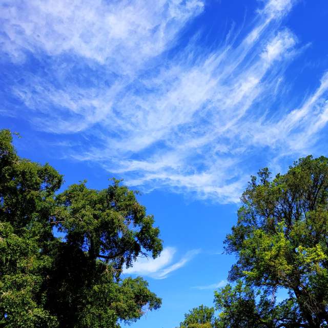 世界的天气照片. 天气预报，带Olena-13精美的照片