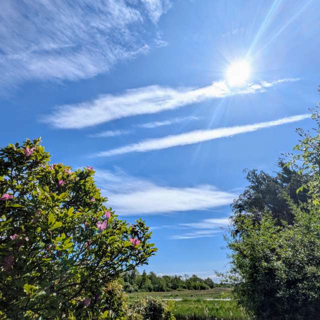 Pronósticos del tiempo con hermosas fotos de soykika