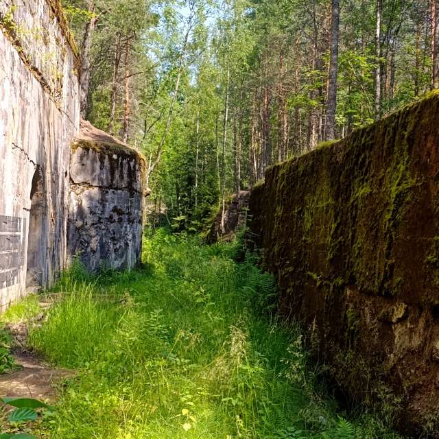 Lena_Glukhovaの美しい写真による天気予報