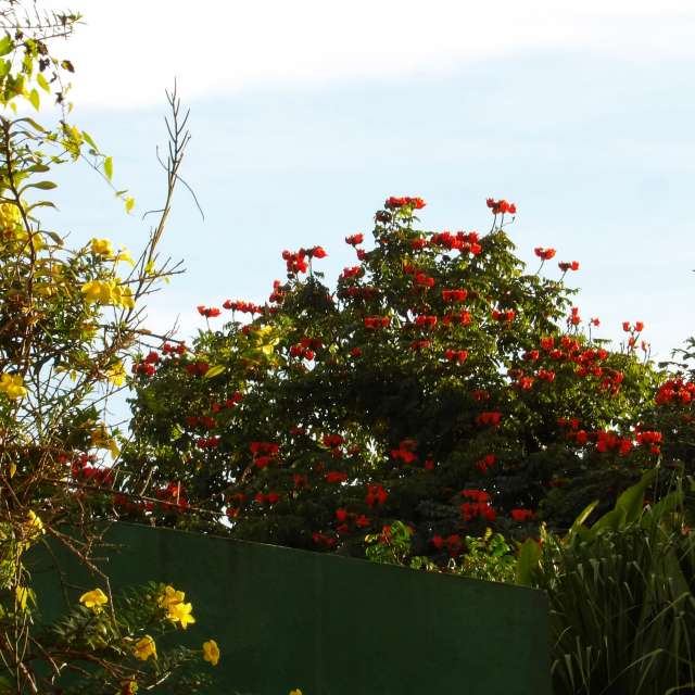 Previsões do tempo com lindas fotos de lcruz23