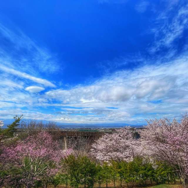 Flying. Weather forecasts with beautiful photos by Kasumisou Photos in Saku-shi