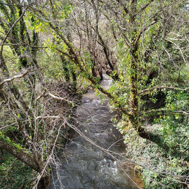 Weather forecasts with beautiful photos by Pcm407