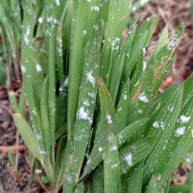 Weather forecasts with beautiful photos by umemui