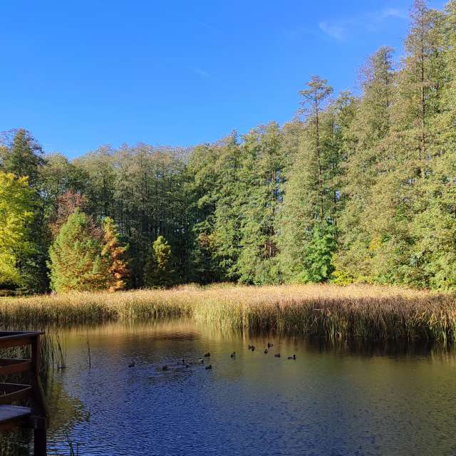 Weather forecasts with beautiful photos by Romek58