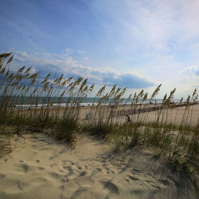 Photos Debout. Prévisions météo avec de superbes photos de 245Trioxin de North Carolina