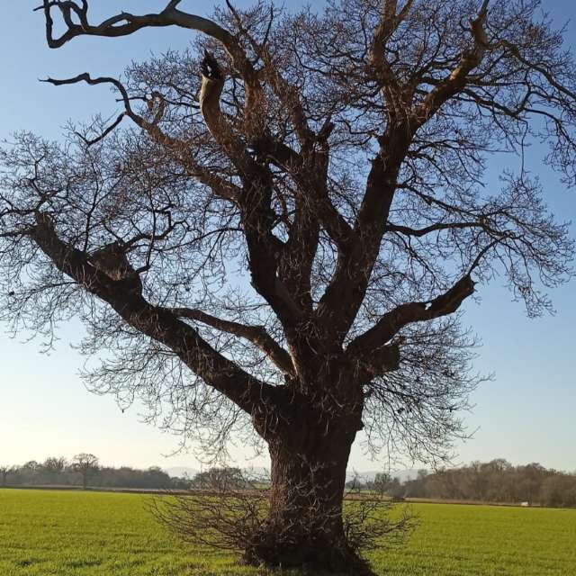 Прогнозы погоды с чудесными фотографиями, сделанными Sunshinelady62