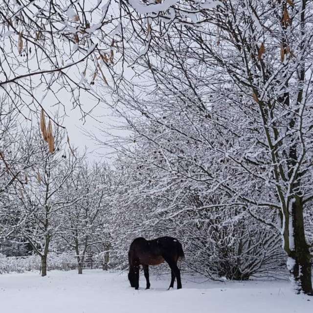 Prévisions météo avec de superbes photos de AlaGibki