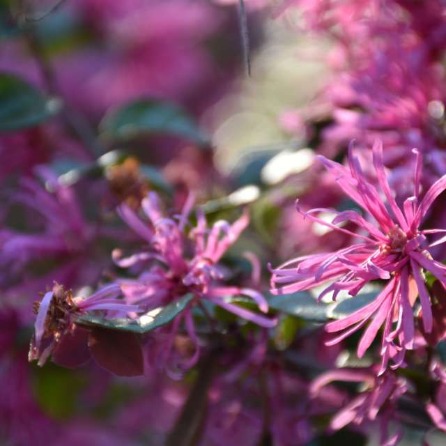 Weather forecasts with beautiful photos by 1stEyeFocused