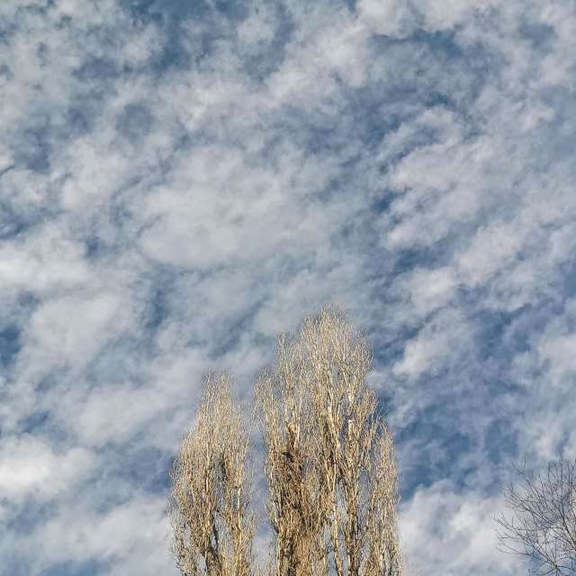 Fotos del Nieve. Pronósticos del tiempo con hermosas fotos de YanBog en București