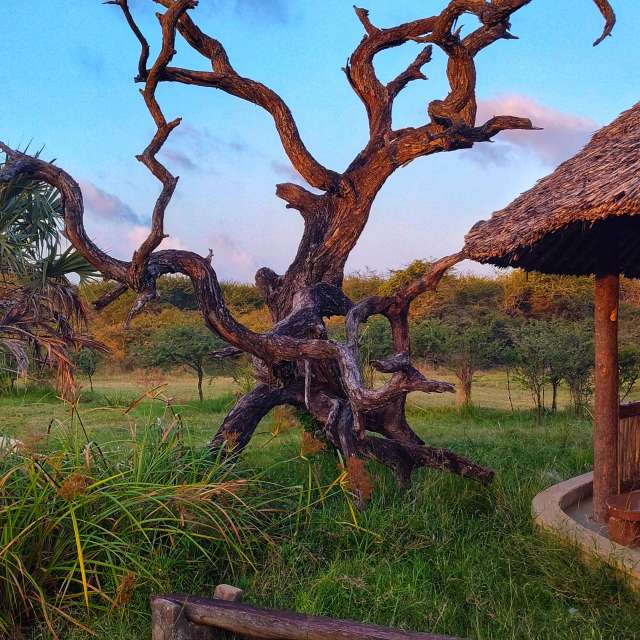 Wakarimaの美しい写真による天気予報