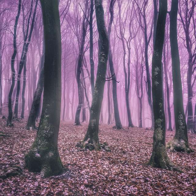 Weather forecasts with beautiful photos by Gweiland