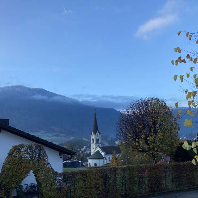 Photos Arbre. Prévisions météo avec de superbes photos de Grosses Schanze de Delémont